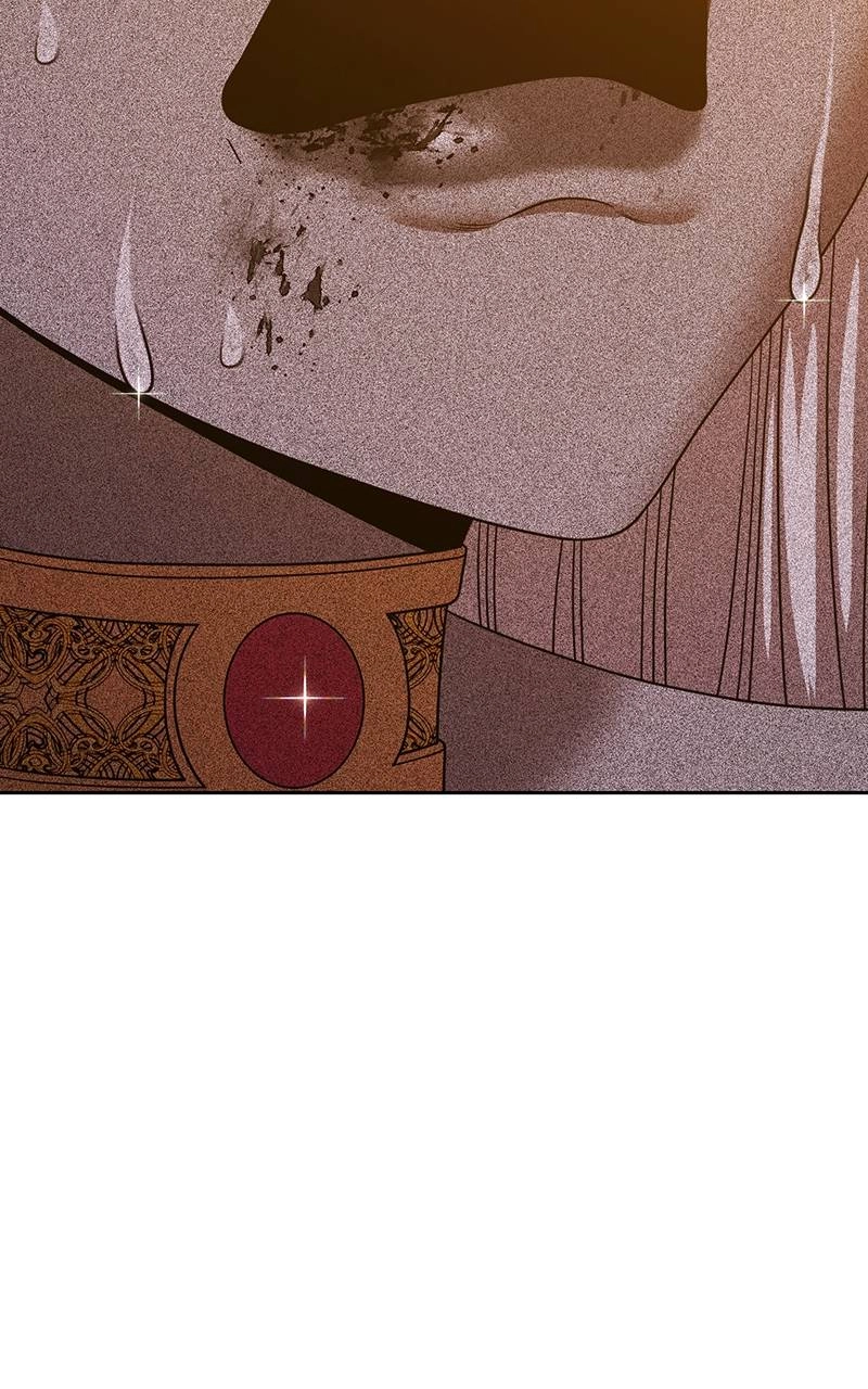 Page 219