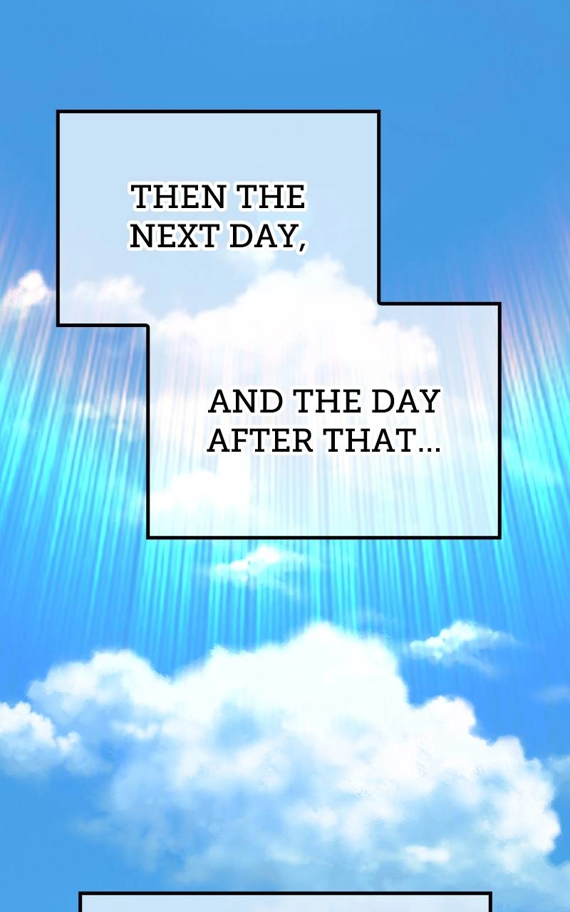 Page 517