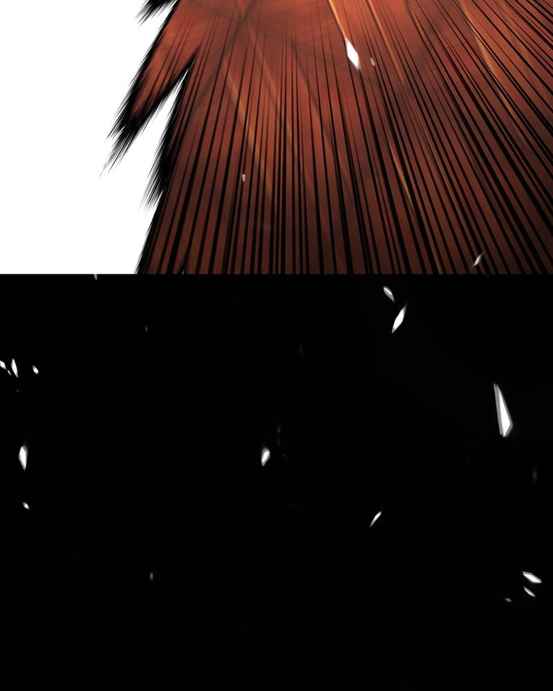Page 335
