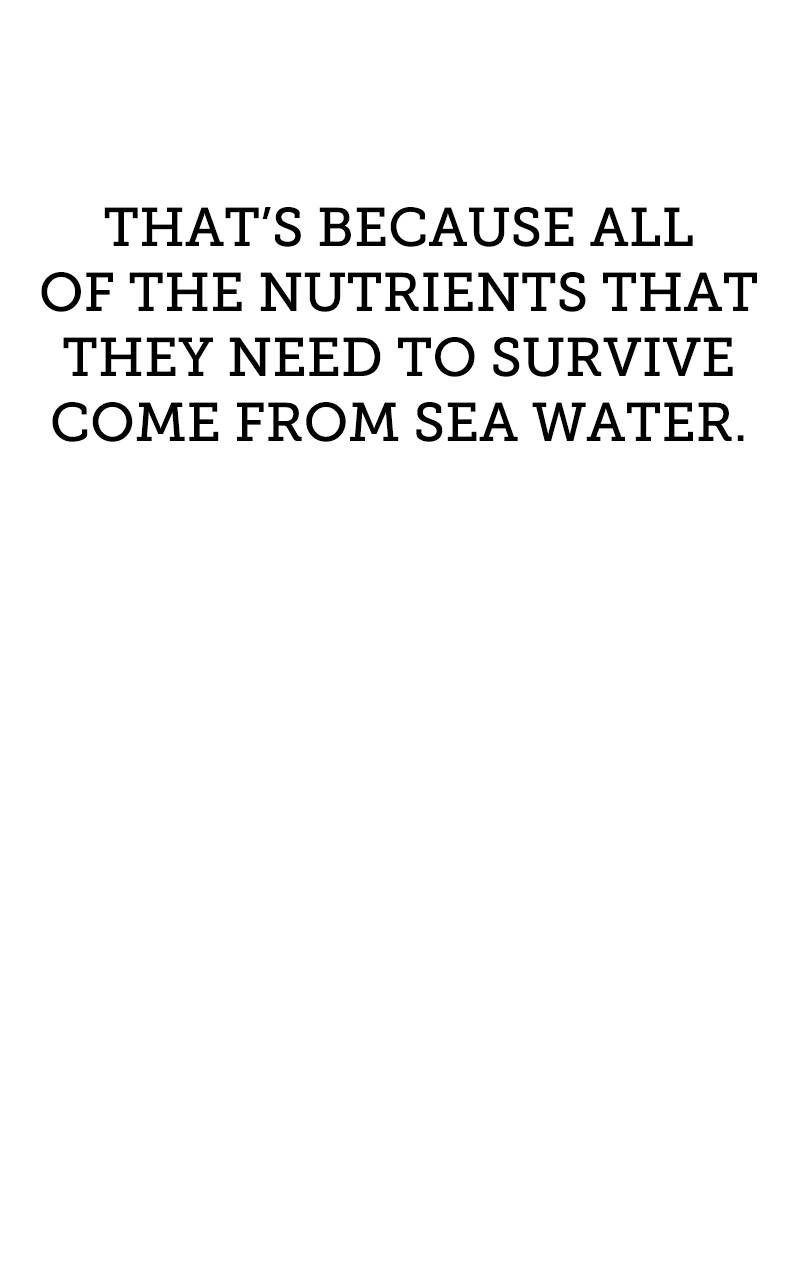 Page 326