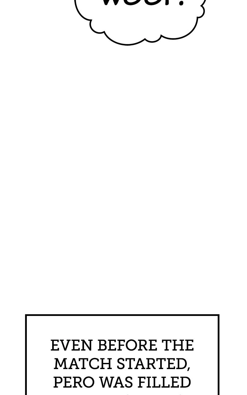Page 291