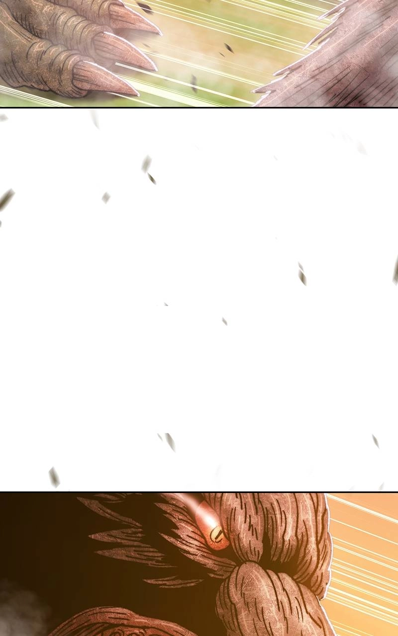 Page 244