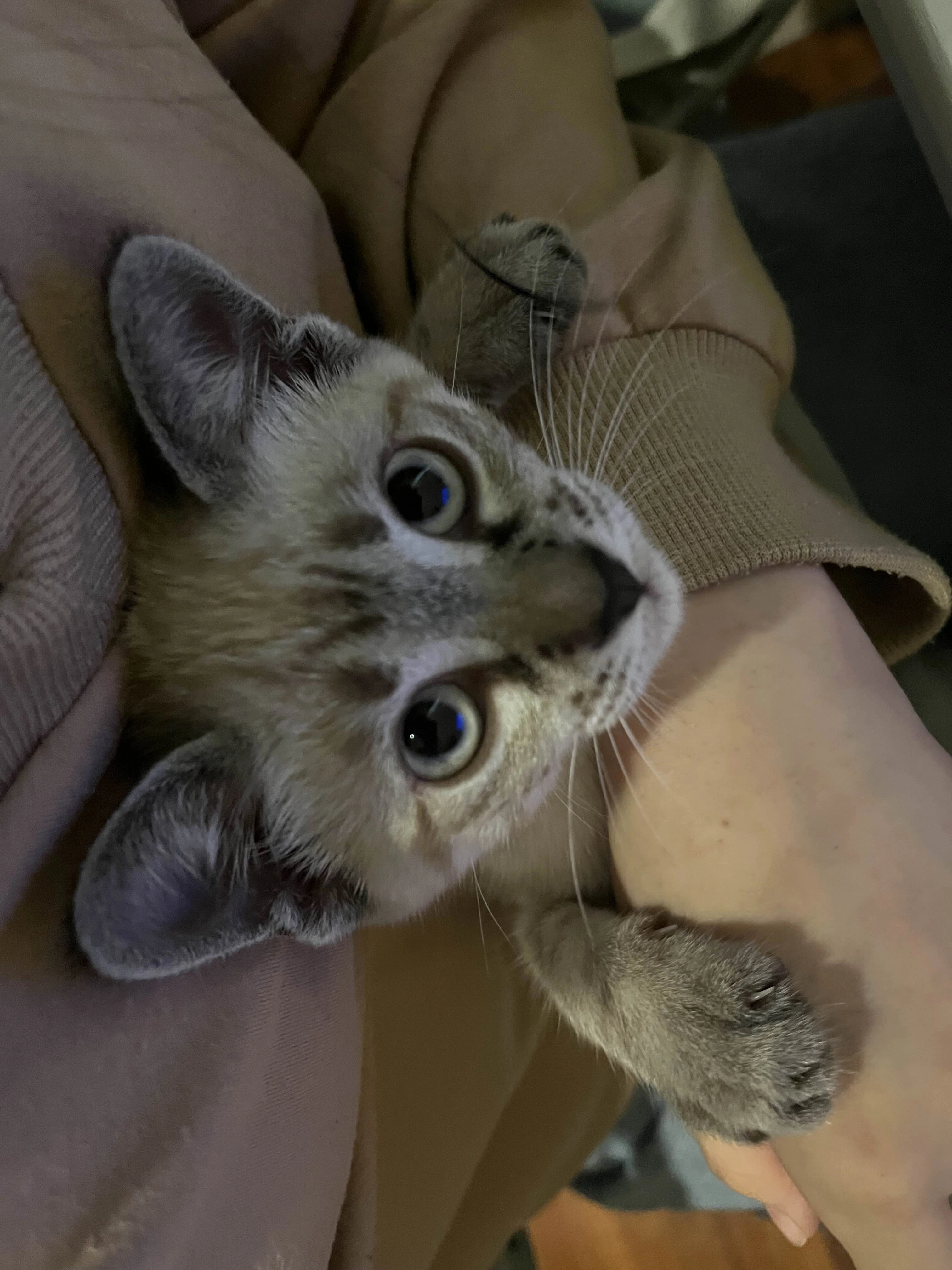 thesoup