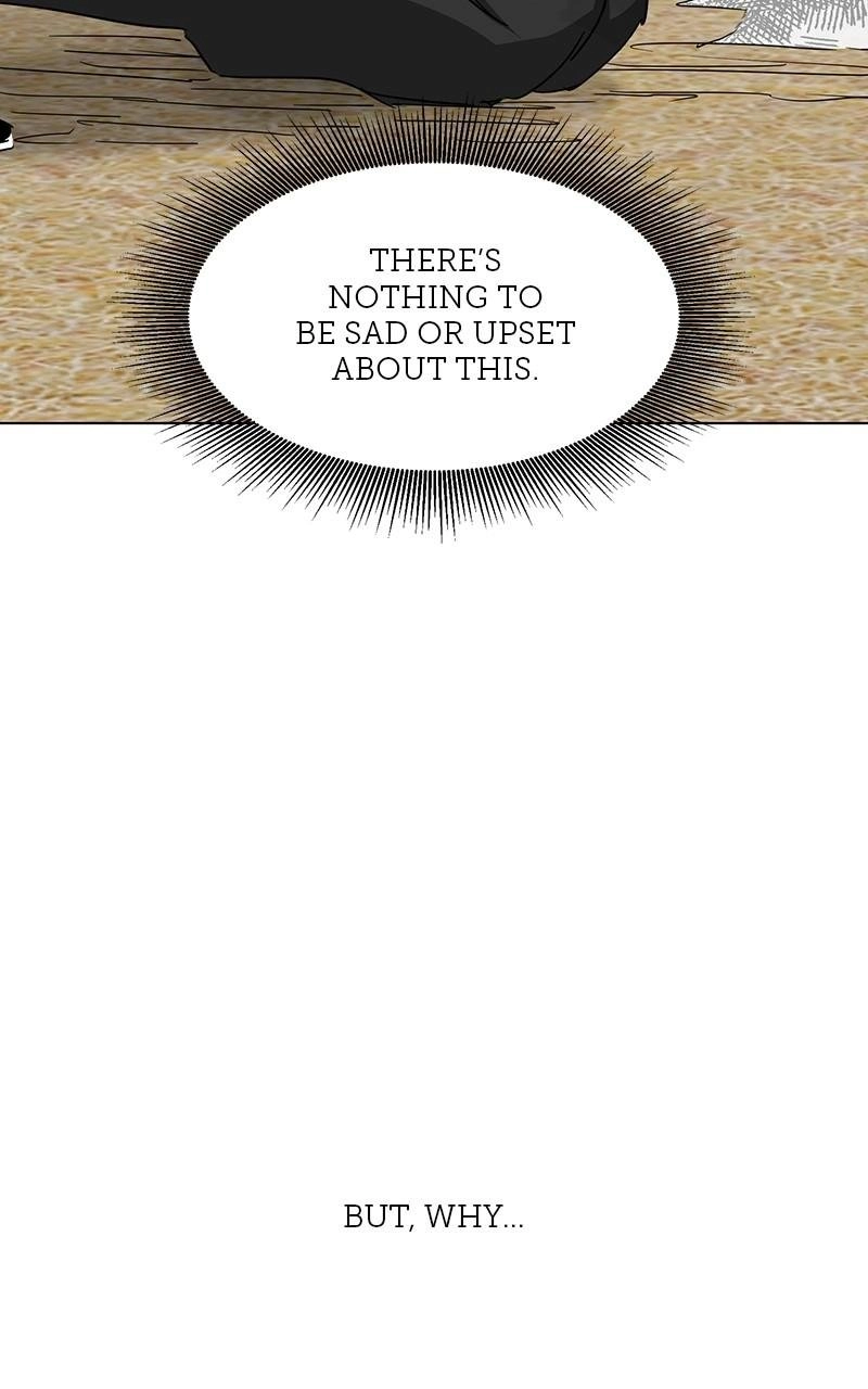Page 242